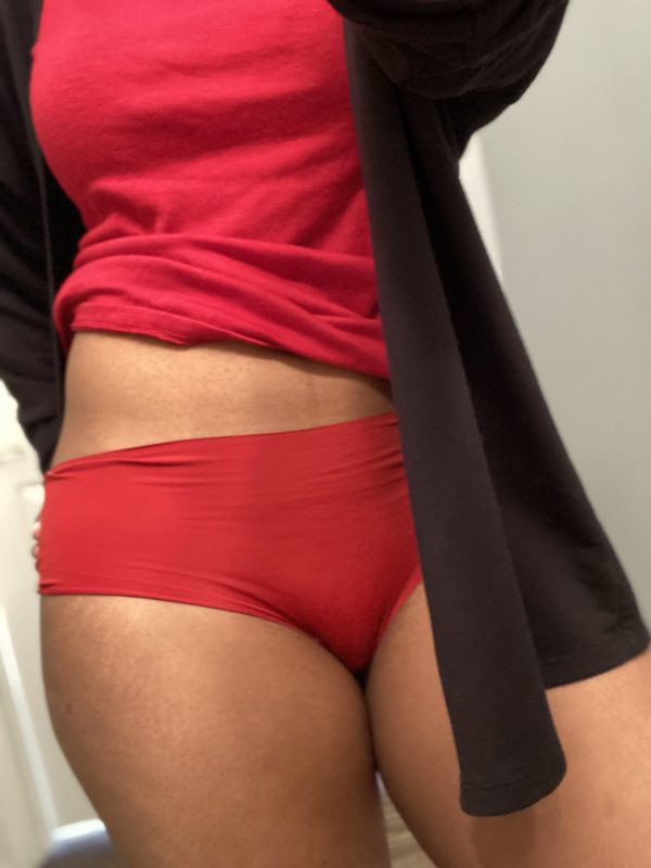 Silky Red Work Panties