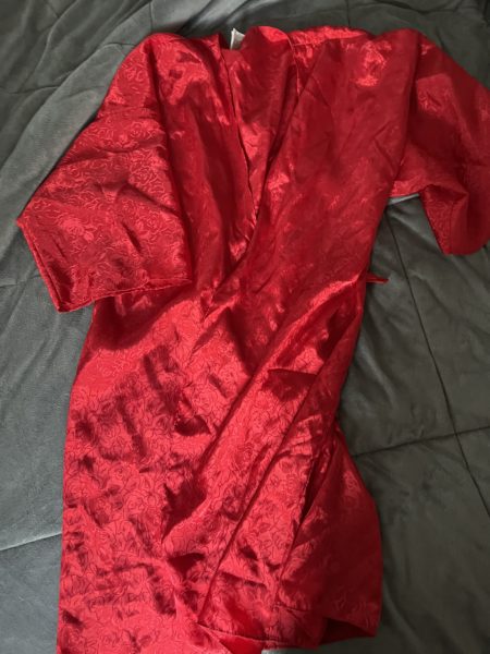 Red satin robe