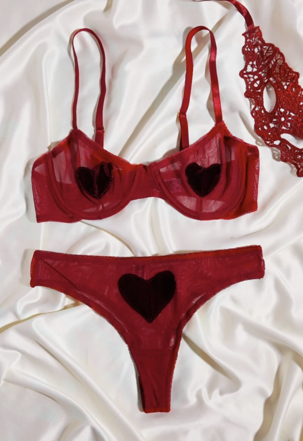 Valentines Day -Red mesh with hearts Bra & Panty